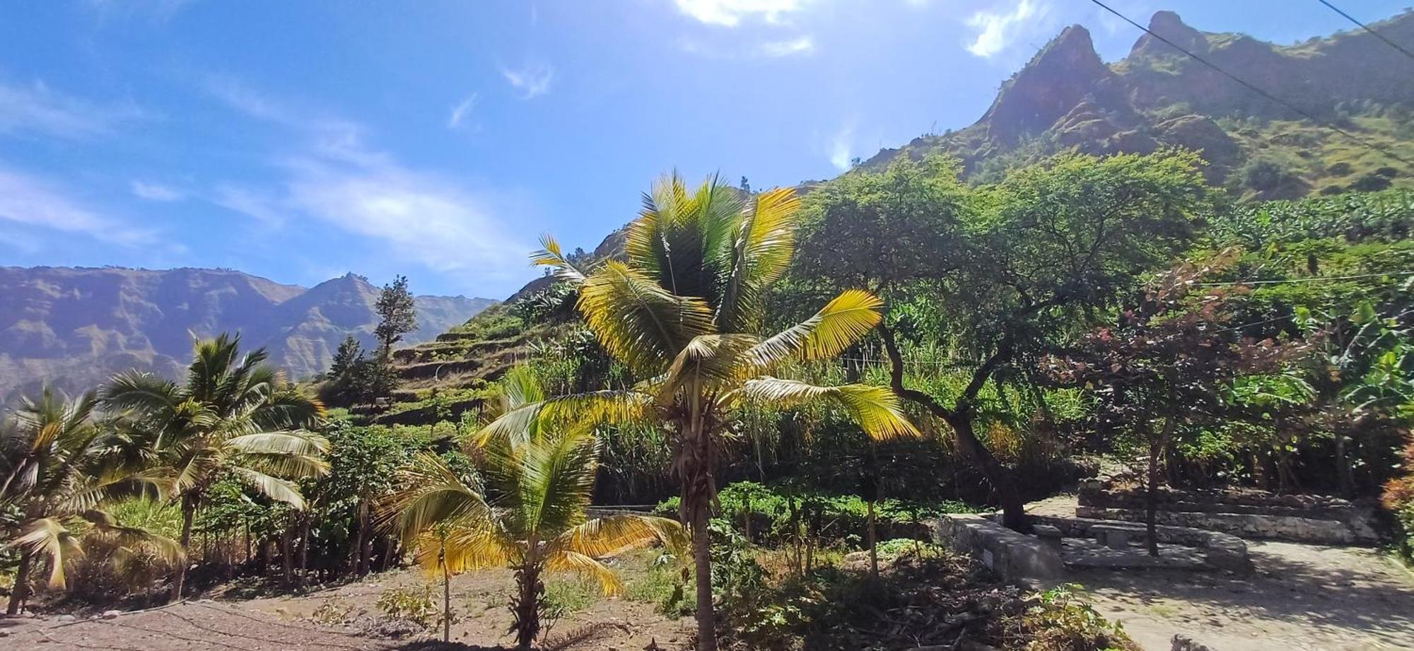 Casa Au Bonheur Des Randonneurs Apartman Ponta Do Sol Kültér fotó